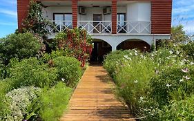 Teanehi Bed & Breakfast